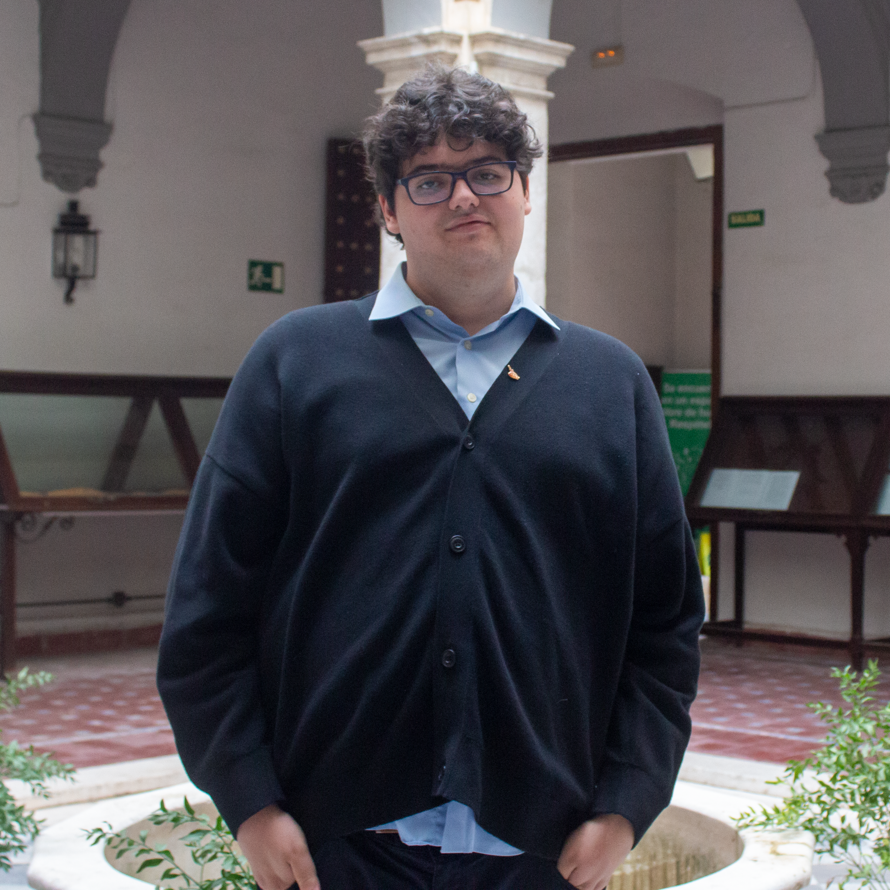 Daniel Plazas Rodríguez, Vicedelegado de Encaje Normativo